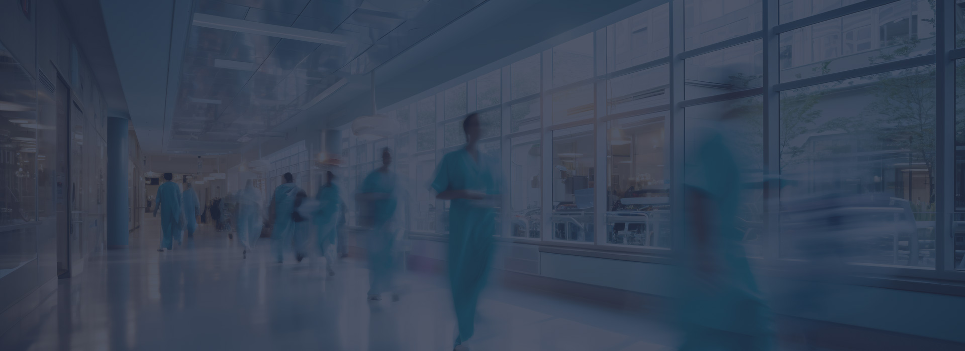 Life Sciences & Health Care